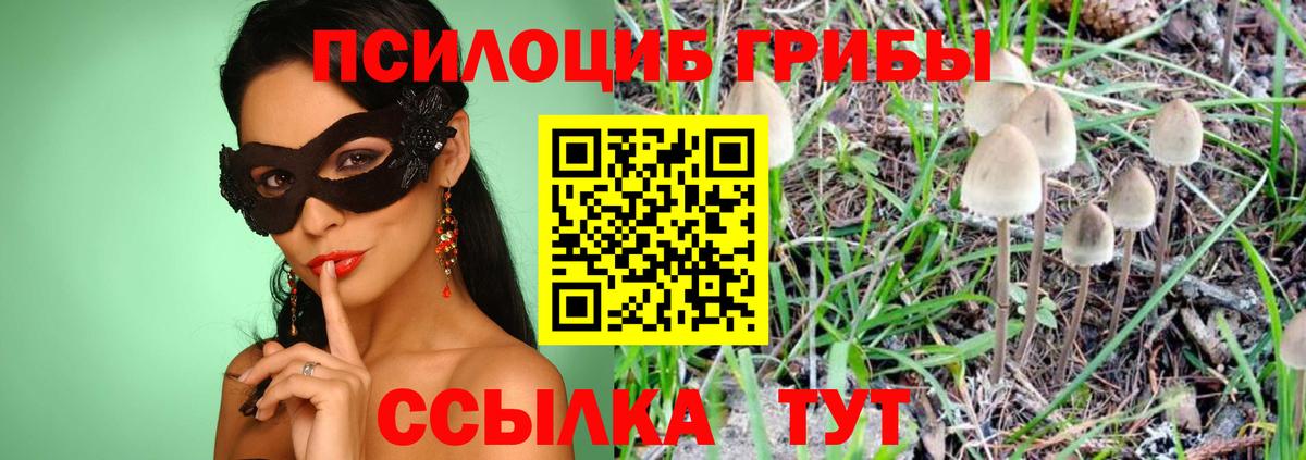 купить  цена  Псилоцибиновые грибы прущие грибы  Галлюциногенные грибы GOLDEN TEACHER  Вход с VPN  Красногорск 